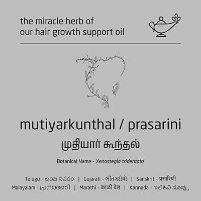 Premium Herbal Cold-Infused Hair Growth Support Oil - 100ml Premium Herbal Cold-Infused Hair Growth Support Oil - 100ml