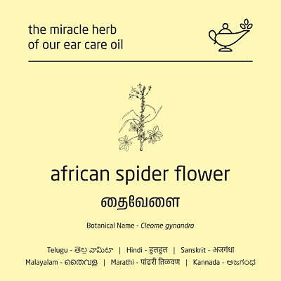 Premium Herbal Cold-Infused Ear Care Oil - 100ml Premium Herbal Cold-Infused Ear Care Oil - 100ml